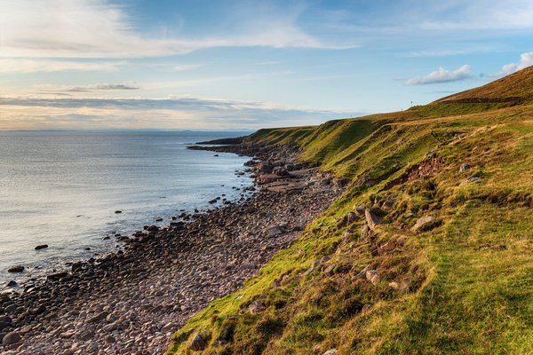 How to Design an Elegant Home Office in a Conservatory with Ample Plant Life?