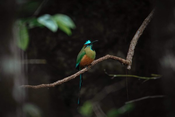 How Can Augmented Reality Training Assist Referees in Close Decision-Making in Football?