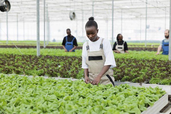 How to Leverage Geofencing for Local Marketing in UK Retail?