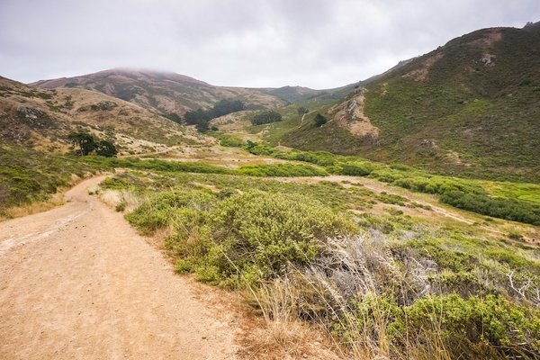 What Are the Challenges of Marine Plastic Waste for UK's Ecosystems?